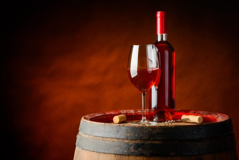 Découvrez les Techniques de Vinification des Vins Primeurs pour des Arômes Frais et Fruités