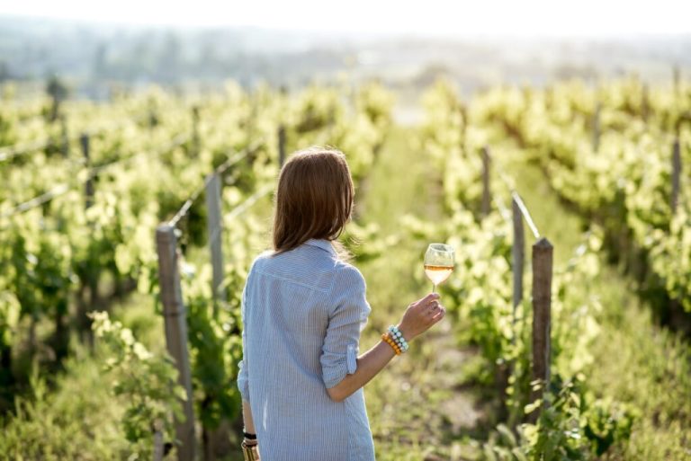 Les avantages écologiques des vins primeurs : Réduction de l'empreinte carbone et viticulture durable
